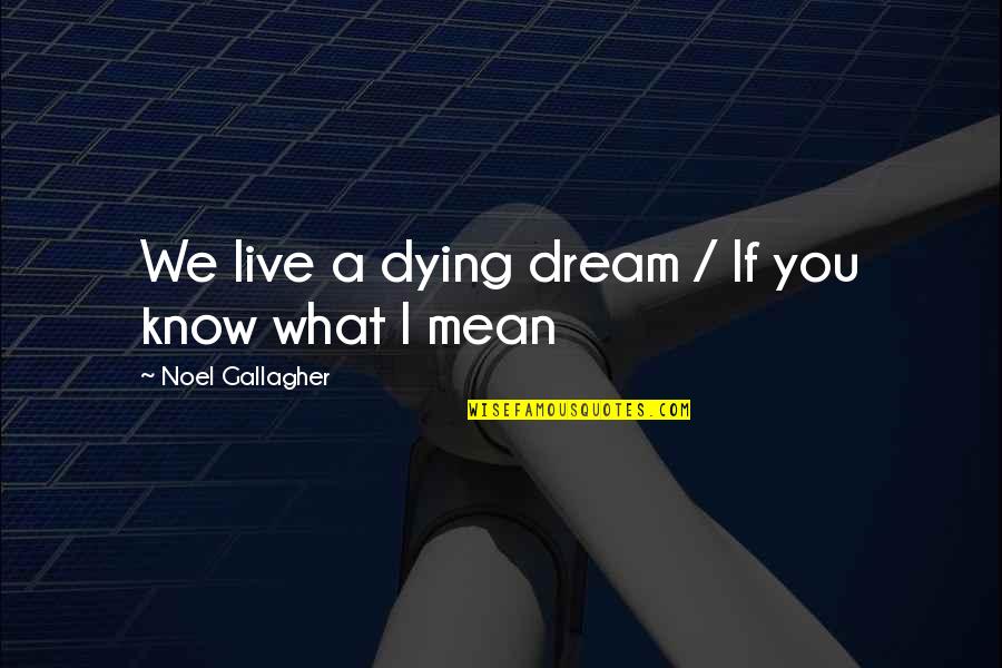 True Story Asa Quotes By Noel Gallagher: We live a dying dream / If you