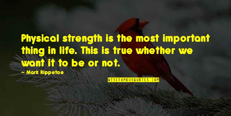 True Strength Quotes By Mark Rippetoe: Physical strength is the most important thing in