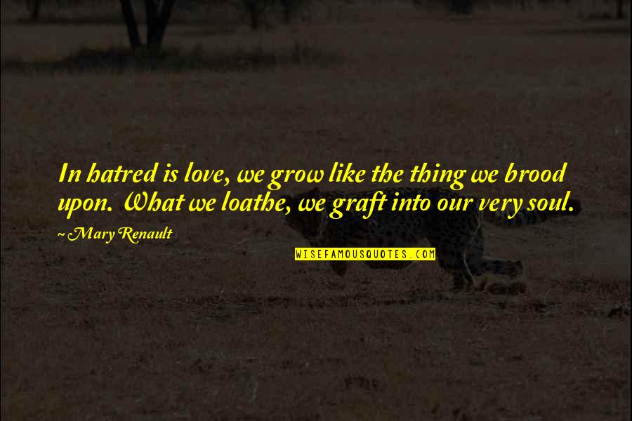 Trueinfogo Quotes By Mary Renault: In hatred is love, we grow like the Trueinfogo Quotes By Mary Renault: In hatred is love, we grow like the