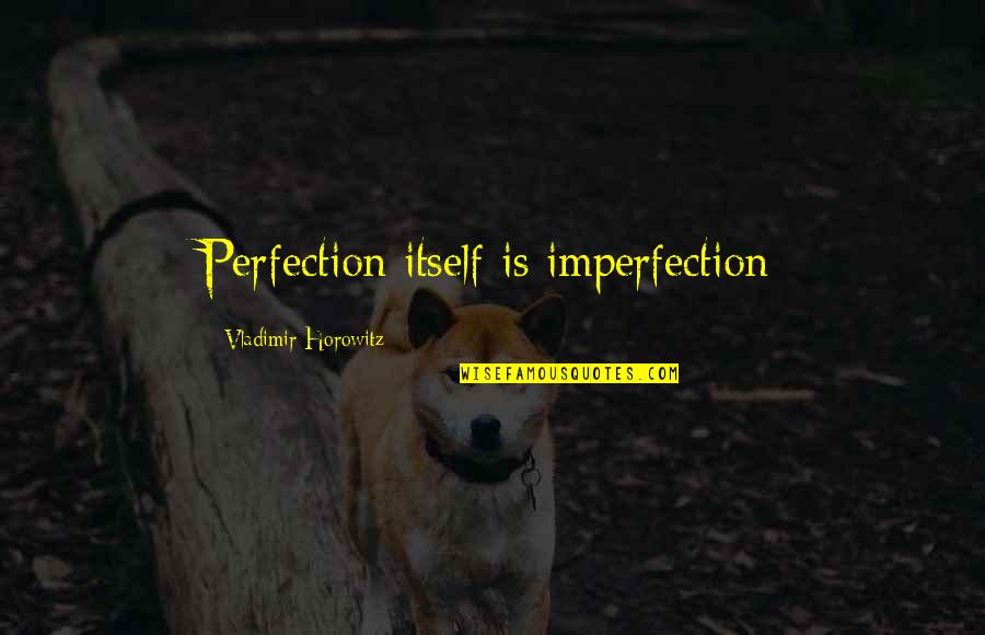 Truest Disney Quotes By Vladimir Horowitz: Perfection itself is imperfection