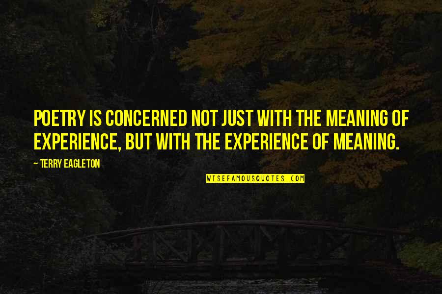 Trufa De Chocolate Quotes By Terry Eagleton: Poetry is concerned not just with the meaning Trufa De Chocolate Quotes By Terry Eagleton: Poetry is concerned not just with the meaning