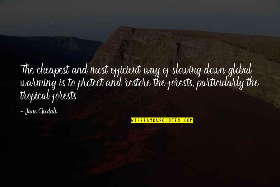 Truisme Synonyme Quotes By Jane Goodall: The cheapest and most efficient way of slowing Truisme Synonyme Quotes By Jane Goodall: The cheapest and most efficient way of slowing