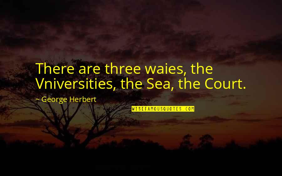 Truly Hurt Quotes By George Herbert: There are three waies, the Vniversities, the Sea,