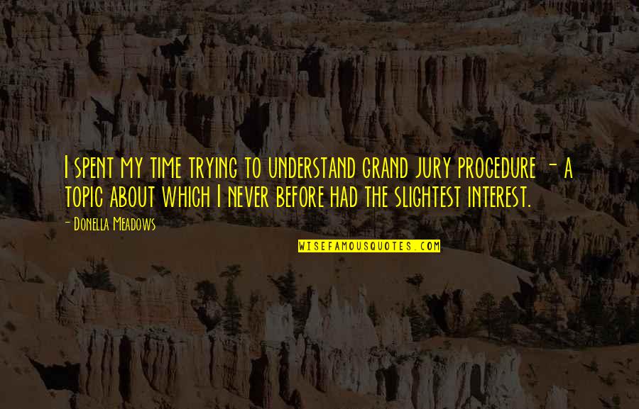 Truly Seltzer Quotes By Donella Meadows: I spent my time trying to understand grand