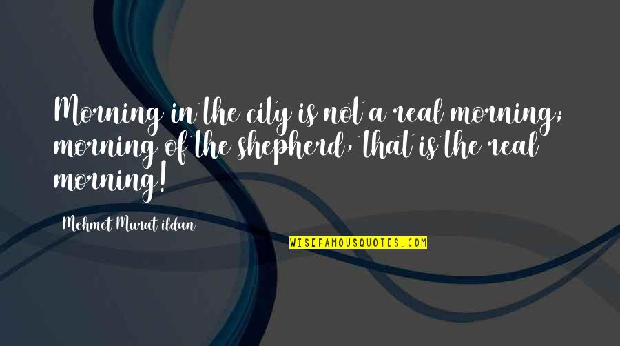 Trundling A Hoop Quotes By Mehmet Murat Ildan: Morning in the city is not a real Trundling A Hoop Quotes By Mehmet Murat Ildan: Morning in the city is not a real