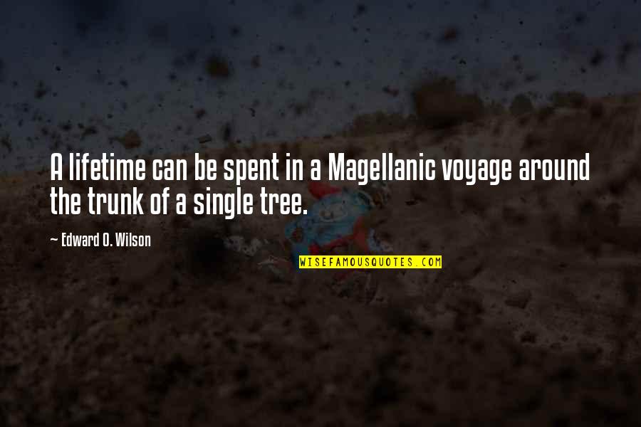 Trunk Of A Tree Quotes By Edward O. Wilson: A lifetime can be spent in a Magellanic Trunk Of A Tree Quotes By Edward O. Wilson: A lifetime can be spent in a Magellanic