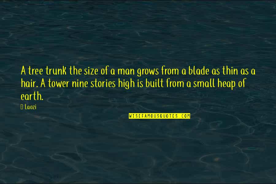 Trunk Of A Tree Quotes By Laozi: A tree trunk the size of a man Trunk Of A Tree Quotes By Laozi: A tree trunk the size of a man