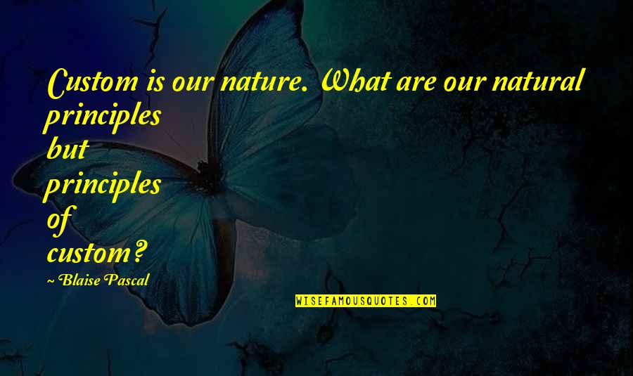Trussing Needle Quotes By Blaise Pascal: Custom is our nature. What are our natural