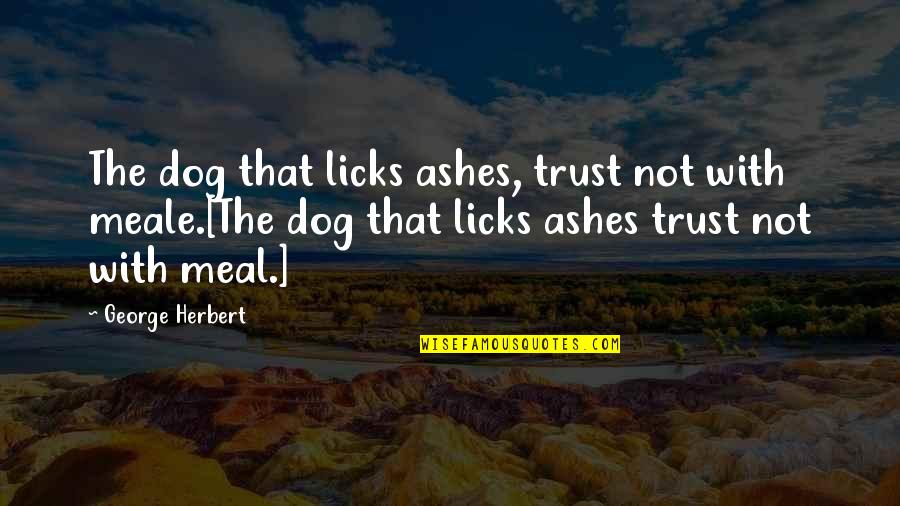 Trust A Dog Quotes By George Herbert: The dog that licks ashes, trust not with Trust A Dog Quotes By George Herbert: The dog that licks ashes, trust not with