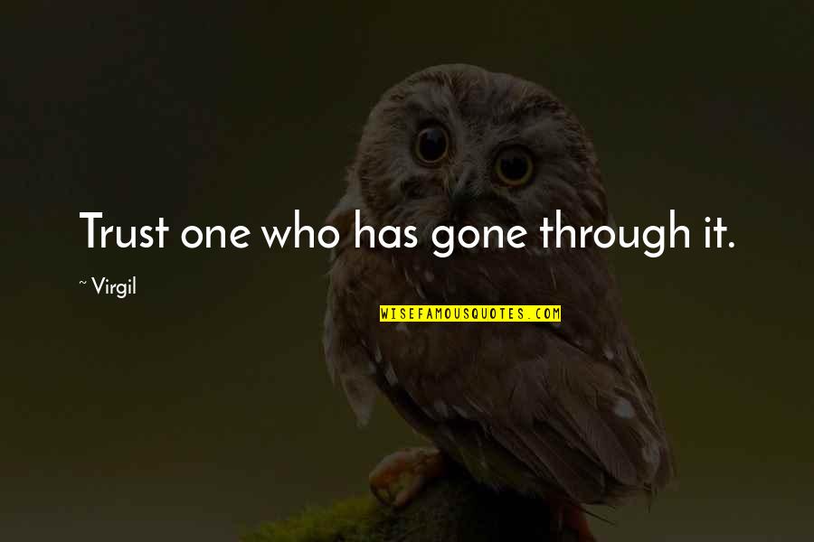 Trust Is Gone Quotes By Virgil: Trust one who has gone through it.