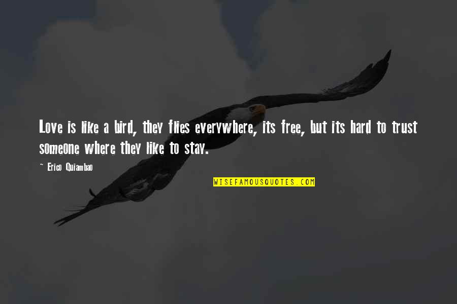 Trust Its Hard Quotes By Erico Quiambao: Love is like a bird, they flies everywhere,