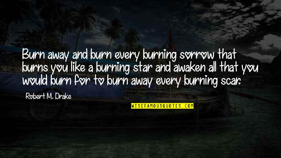 Trust N Oaths Quotes By Robert M. Drake: Burn away and burn every burning sorrow that Trust N Oaths Quotes By Robert M. Drake: Burn away and burn every burning sorrow that