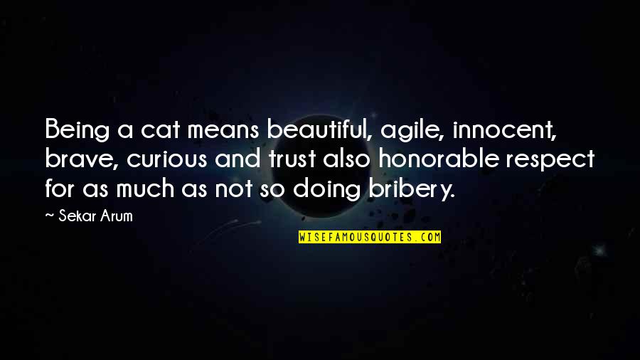 Trust N Respect Quotes By Sekar Arum: Being a cat means beautiful, agile, innocent, brave, Trust N Respect Quotes By Sekar Arum: Being a cat means beautiful, agile, innocent, brave,