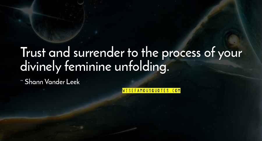 Trust The Process Quotes By Shann Vander Leek: Trust and surrender to the process of your