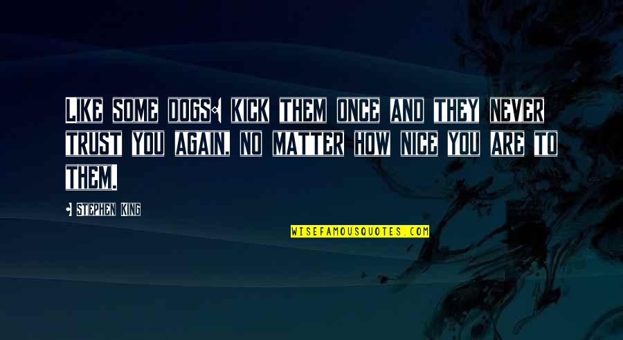 Trust You Again Quotes By Stephen King: Like some dogs: kick them once and they