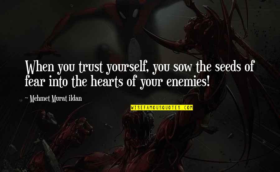 Trust Your Enemies Quotes By Mehmet Murat Ildan: When you trust yourself, you sow the seeds