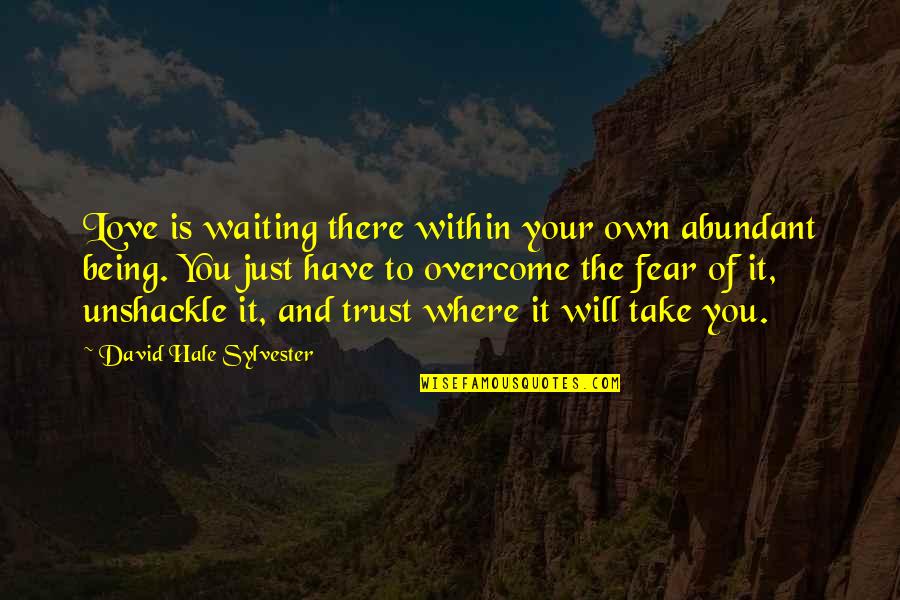 Trust Your Love Quotes By David Hale Sylvester: Love is waiting there within your own abundant