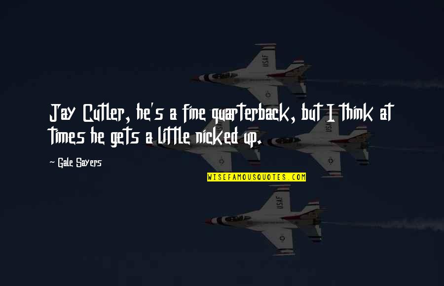 Trusteeship Journal Quotes By Gale Sayers: Jay Cutler, he's a fine quarterback, but I