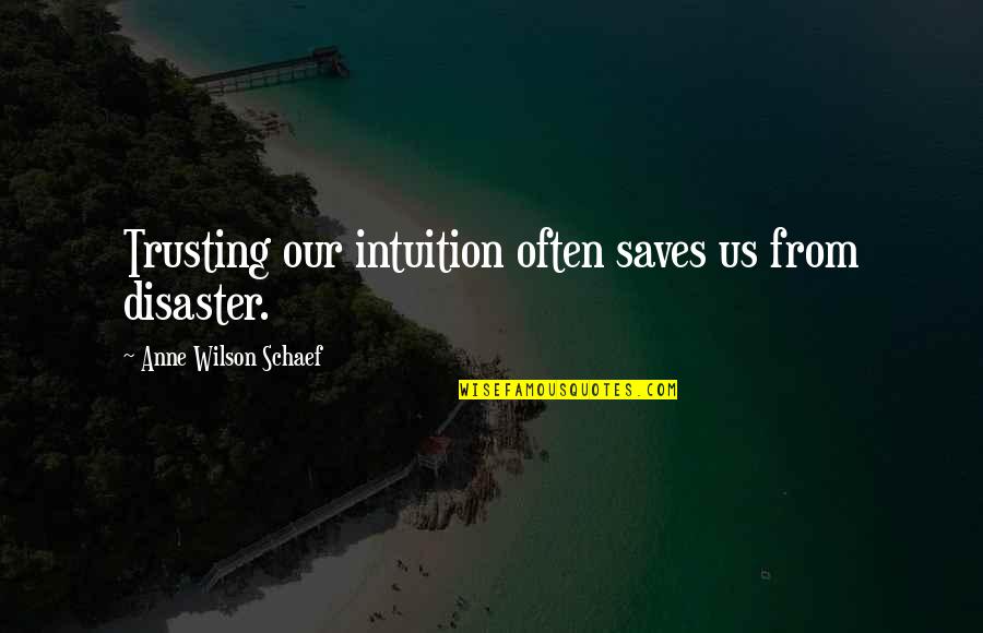 Trusting Intuition Quotes By Anne Wilson Schaef: Trusting our intuition often saves us from disaster.