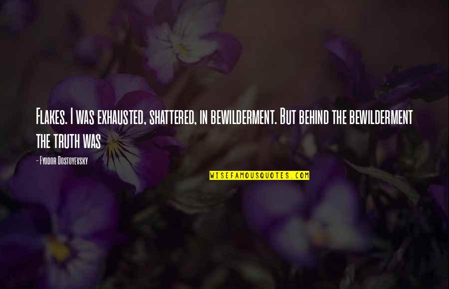 Truth Behind Quotes By Fyodor Dostoyevsky: Flakes. I was exhausted, shattered, in bewilderment. But