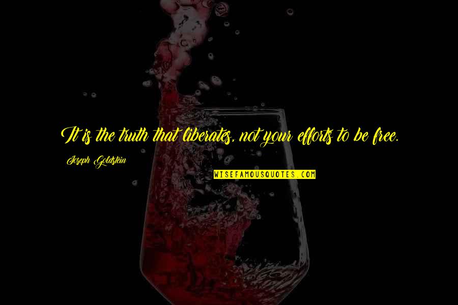 Truth Liberates Quotes By Joseph Goldstein: It is the truth that liberates, not your Truth Liberates Quotes By Joseph Goldstein: It is the truth that liberates, not your