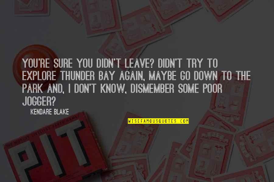 Try Again Funny Quotes By Kendare Blake: You're sure you didn't leave? Didn't try to