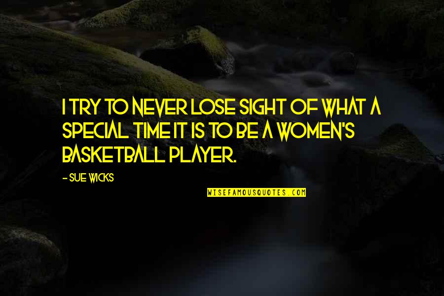 Try Out Basketball Quotes By Sue Wicks: I try to never lose sight of what