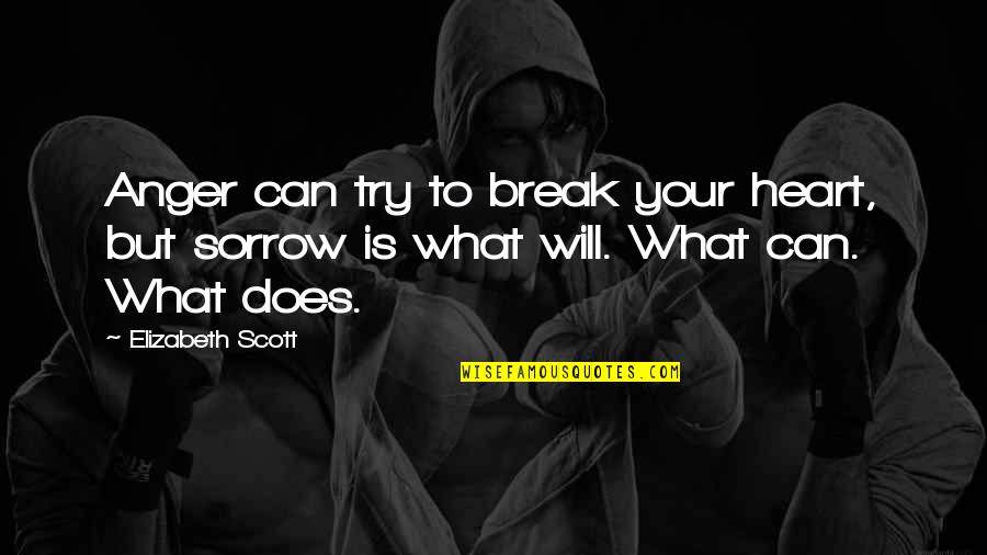 Try To Break My Heart Quotes By Elizabeth Scott: Anger can try to break your heart, but
