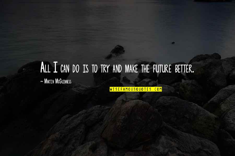 Try To Do Better Quotes By Martin McGuinness: All I can do is to try and