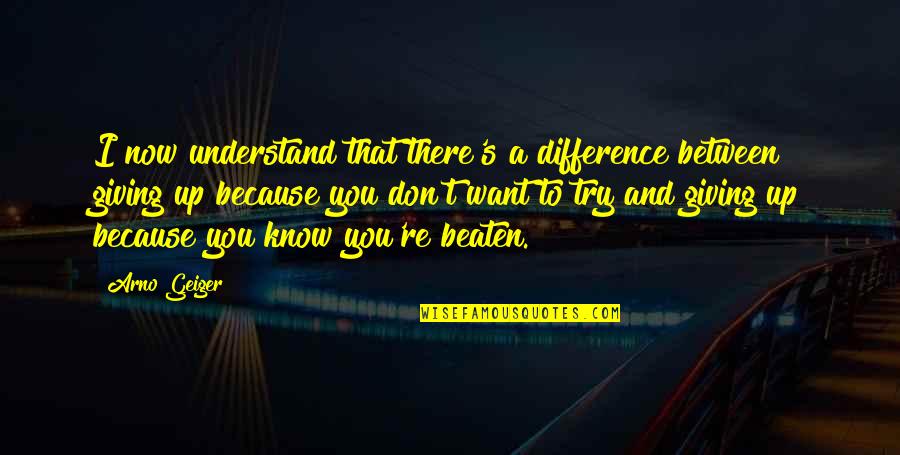 Try To Understand You Quotes By Arno Geiger: I now understand that there's a difference between