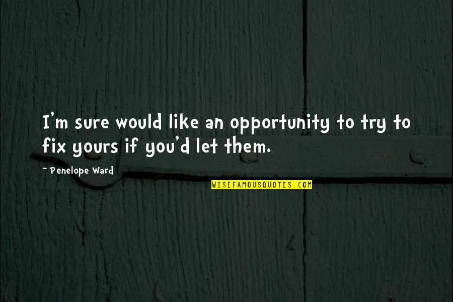 Try'd Quotes By Penelope Ward: I'm sure would like an opportunity to try