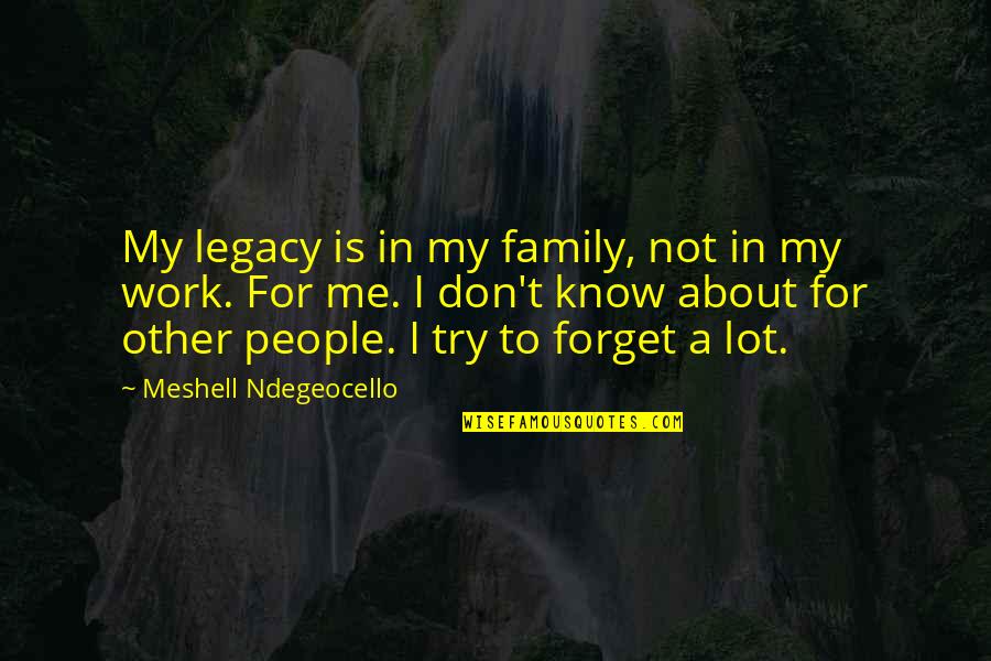 Trying Forget You Quotes By Meshell Ndegeocello: My legacy is in my family, not in