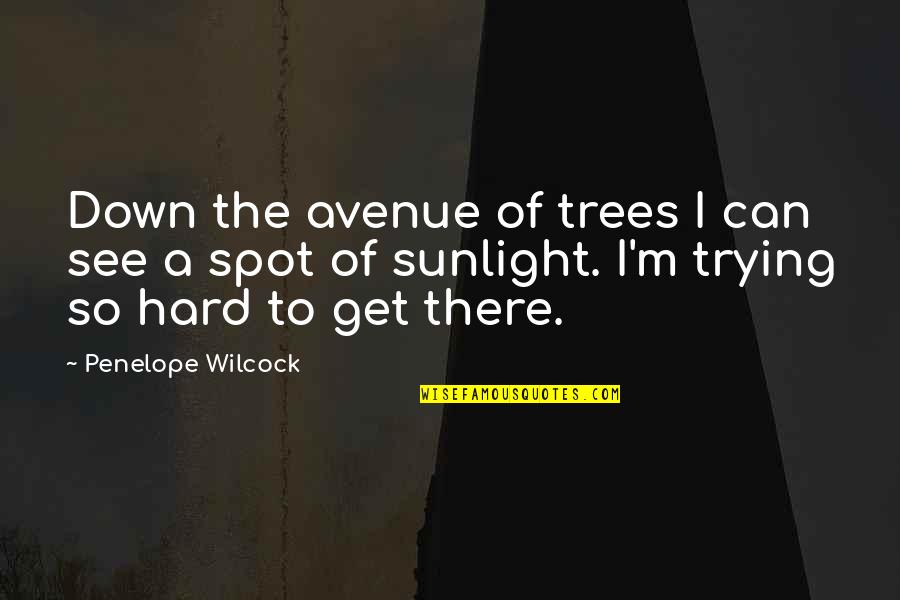 Trying Hard Quotes By Penelope Wilcock: Down the avenue of trees I can see