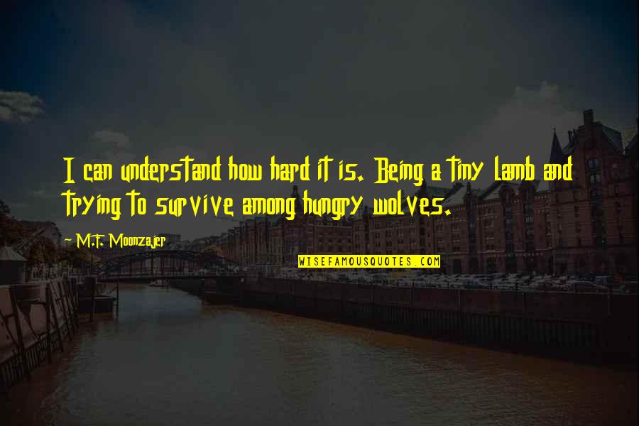 Trying Hard To Understand Quotes By M.F. Moonzajer: I can understand how hard it is. Being