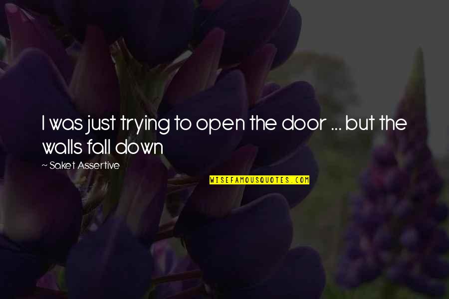 Trying Relationship Quotes By Saket Assertive: I was just trying to open the door Trying Relationship Quotes By Saket Assertive: I was just trying to open the door