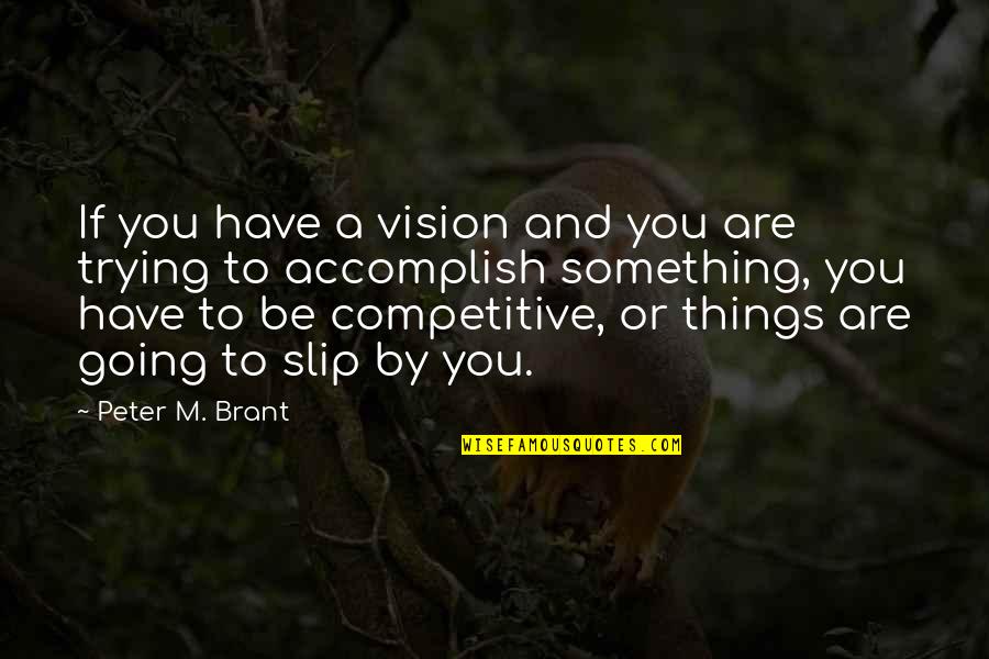 Trying Something Quotes By Peter M. Brant: If you have a vision and you are