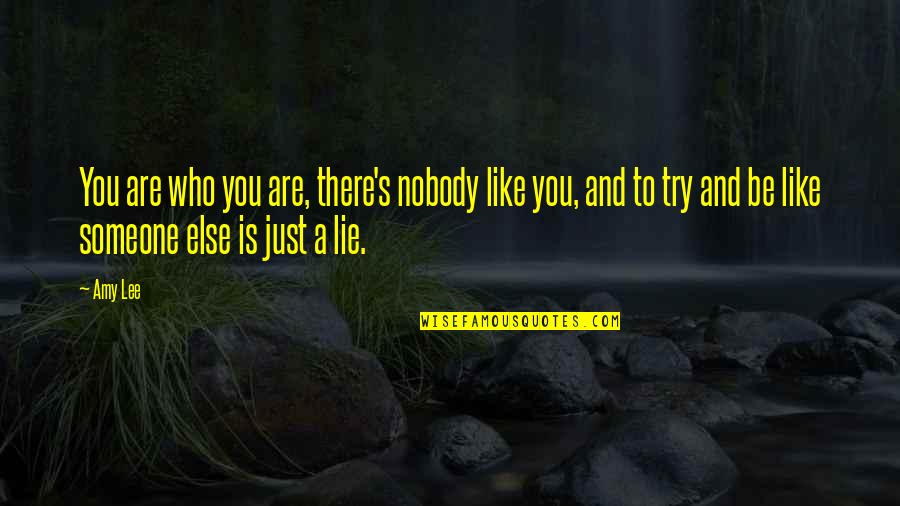 Trying To Be Like Someone Else Quotes By Amy Lee: You are who you are, there's nobody like