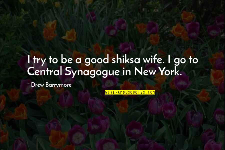 Trying To Change A Man Quotes By Drew Barrymore: I try to be a good shiksa wife.