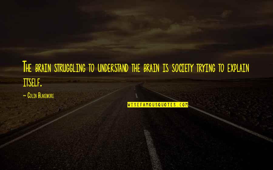 Trying To Explain Quotes By Colin Blakemore: The brain struggling to understand the brain is