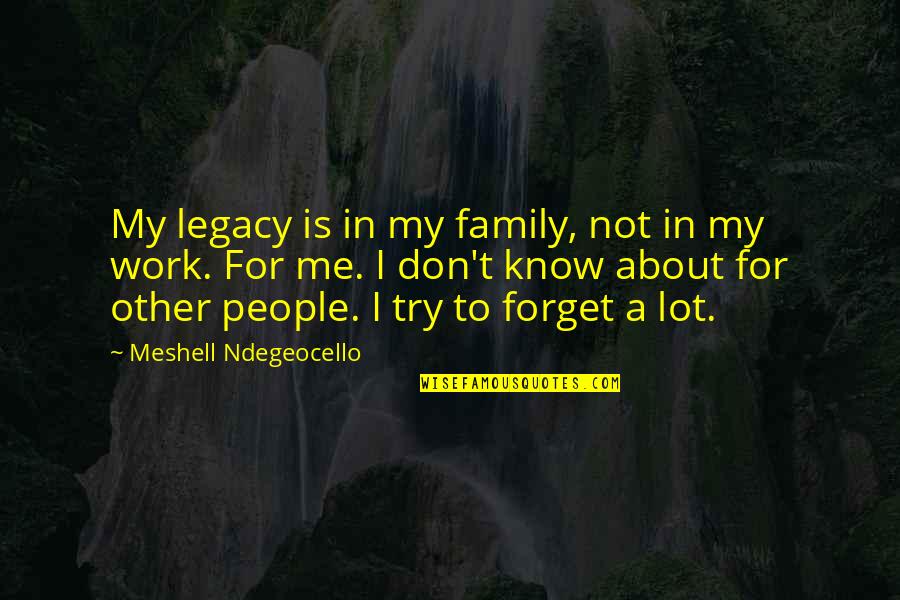 Trying To Forget Me Quotes By Meshell Ndegeocello: My legacy is in my family, not in