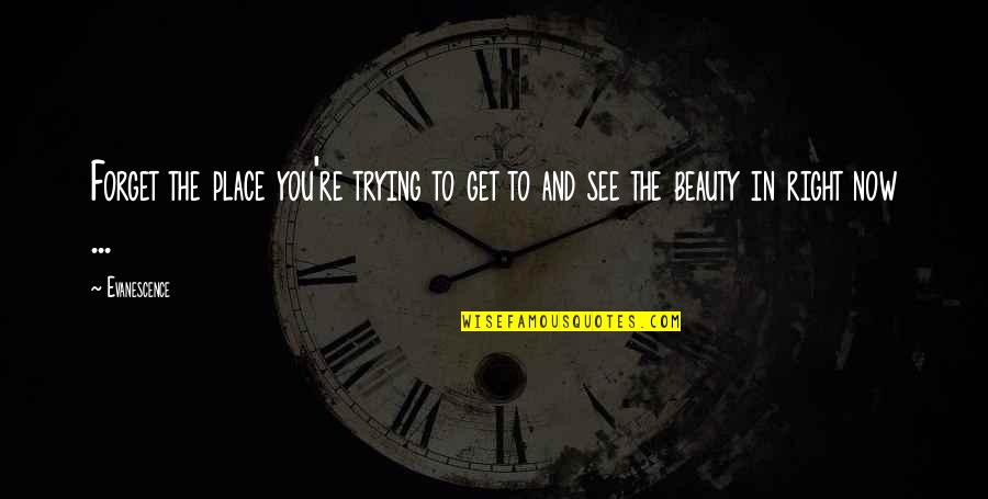 Trying To Get It Right Quotes By Evanescence: Forget the place you're trying to get to