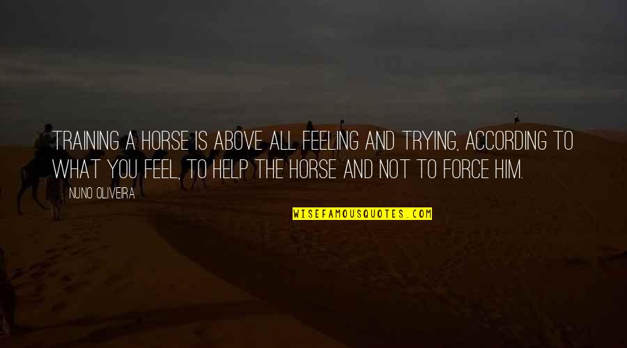 Trying To Help You Quotes By Nuno Oliveira: Training a horse is above all feeling and