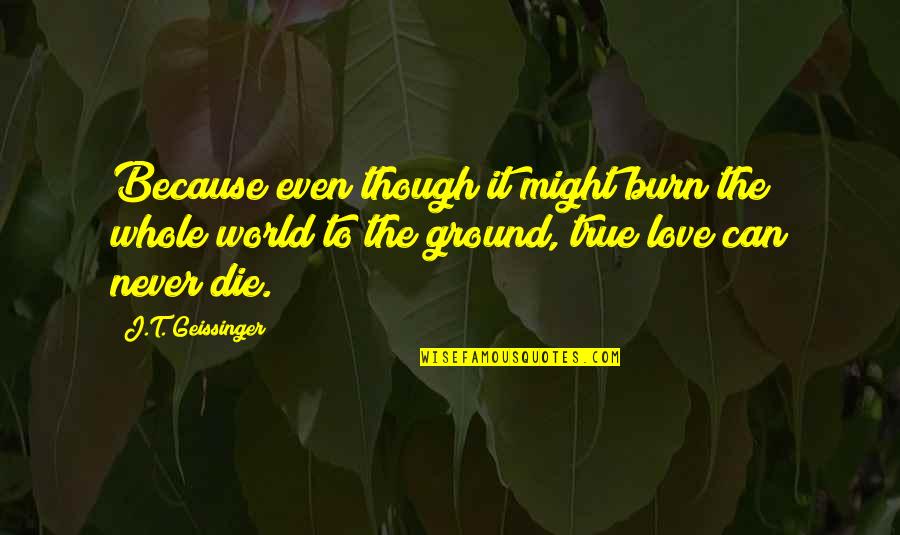 Trying To Look Happy Quotes By J.T. Geissinger: Because even though it might burn the whole