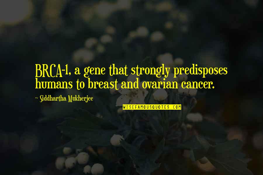 Trying To Lose Feelings Quotes By Siddhartha Mukherjee: BRCA-1, a gene that strongly predisposes humans to Trying To Lose Feelings Quotes By Siddhartha Mukherjee: BRCA-1, a gene that strongly predisposes humans to