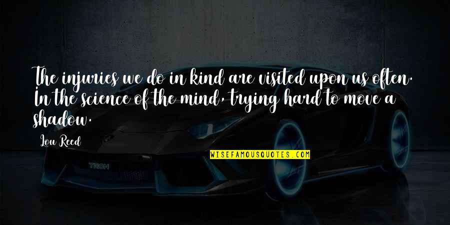 Trying To Move On Quotes By Lou Reed: The injuries we do in kind are visited