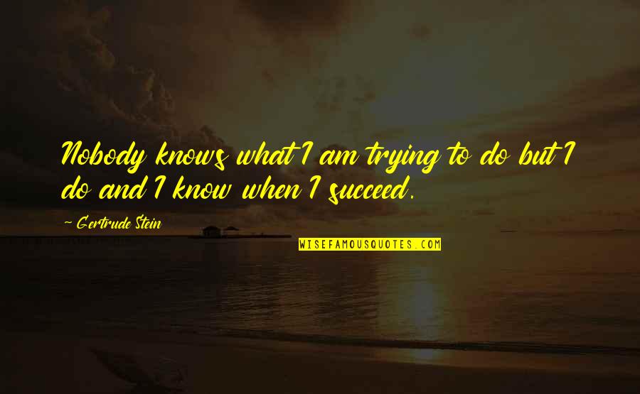 Trying To Succeed Quotes By Gertrude Stein: Nobody knows what I am trying to do