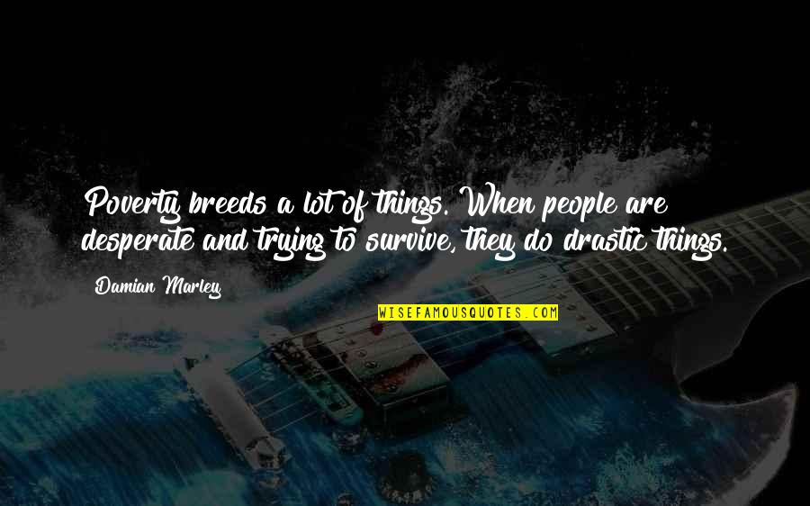 Trying To Survive Quotes By Damian Marley: Poverty breeds a lot of things. When people
