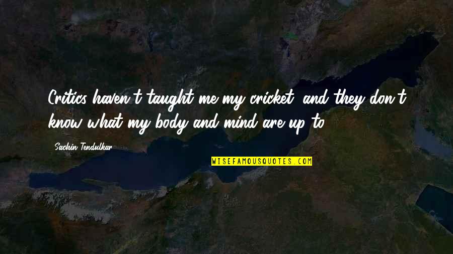 Trying To Work Things Out In A Relationship Quotes By Sachin Tendulkar: Critics haven't taught me my cricket, and they