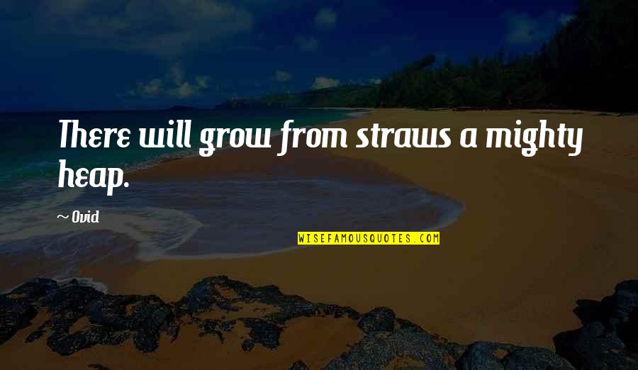 Trying Too Hard For Someone Quotes By Ovid: There will grow from straws a mighty heap.