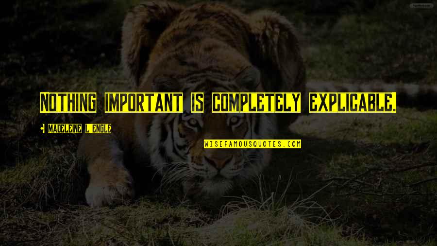 Ts Mooney Quotes By Madeleine L'Engle: Nothing important is completely explicable. Ts Mooney Quotes By Madeleine L'Engle: Nothing important is completely explicable.